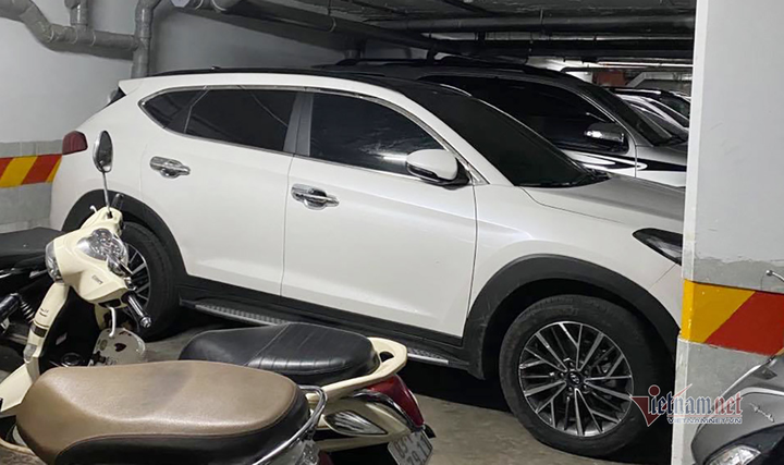 Nữ giám đốc lừa góp vốn đầu tư xăng rồi ôm hàng chục tỷ đồng bỏ trốn - 3