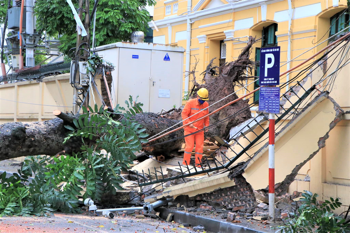 Hà Nội: Gió lớn thổi bật gốc cây cổ thụ, đè sập tường TAND tối cao - 1