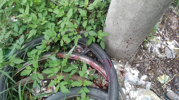 Hải Phòng: Nghi phạm đâm chết nam thanh niên cùng xóm ra đầu thú - 1