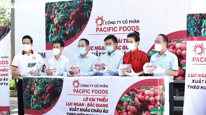 Vải thiều Bắc Giang xuất ngoại trong 'bão dịch' COVID-19 - 2