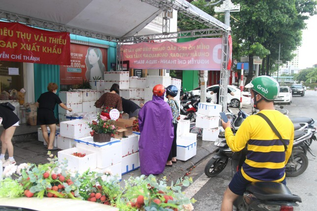 Vải thiều xuất Nhật được bày như lẵng hoa, giá 35.000 đồng/kg - 1