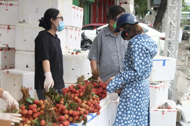 Vải thiều xuất Nhật được bày như lẵng hoa, giá 35.000 đồng/kg - 2