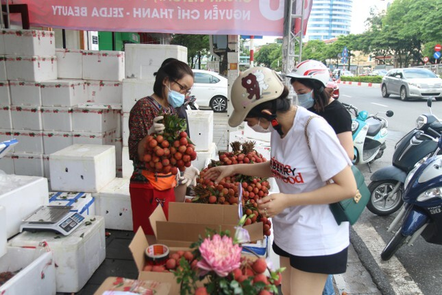 Vải thiều xuất Nhật được bày như lẵng hoa, giá 35.000 đồng/kg - 3