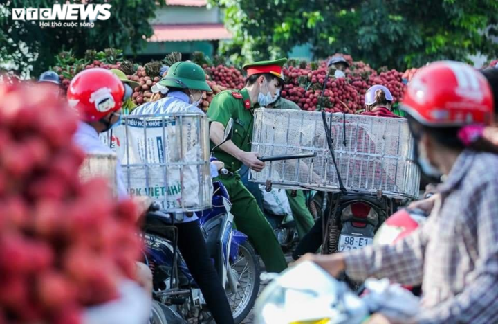 Công an Bắc Giang căng mình điều tiết giao thông trong mùa thu hoạch vải thiều - 4