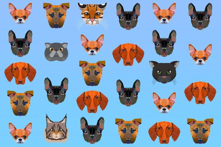 4 câu đố gây rối mắt khiến 'cao thủ nhãn thuật' cũng chịu thua, bạn có dám thử? - 2