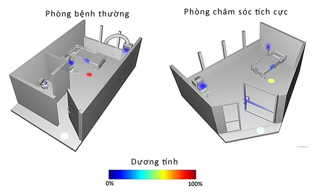 Phát hiện virus nCoV trên sàn phòng bệnh nhân COVID-19 - 1