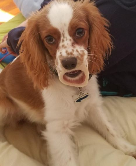 Loạt ảnh 'ảo' không tưởng khiến nhiều người ngỡ lạc vào chiều không gian khác - 9