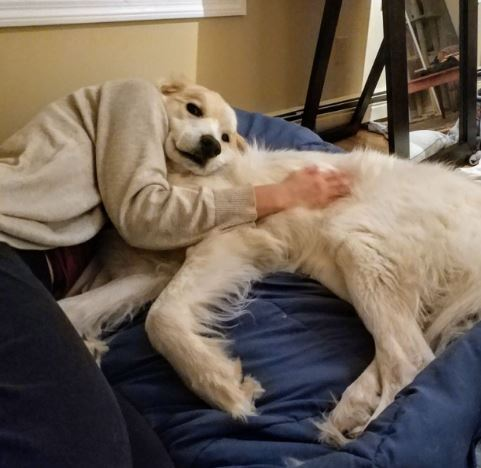 Loạt ảnh 'ảo' không tưởng khiến nhiều người ngỡ lạc vào chiều không gian khác - 8