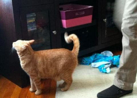 Loạt ảnh 'ảo' không tưởng khiến nhiều người ngỡ lạc vào chiều không gian khác - 10