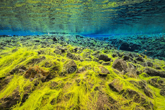 Rãnh nứt 'tử thần’ độc nhất thế giới: Nơi cùng lúc có thể chạm tay tới 2 lục địa - 7