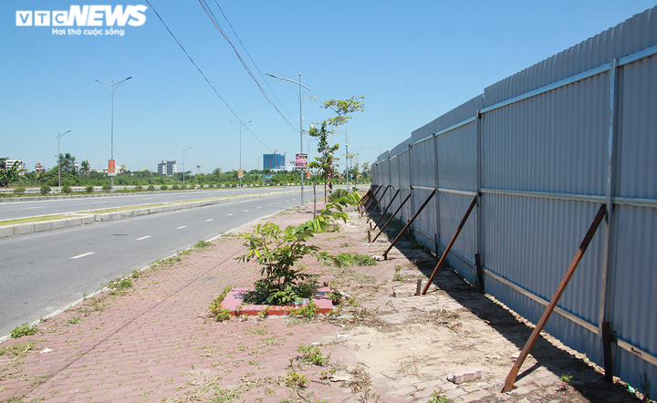 Cưỡng chế 159 công trình trái phép ở Hải Phòng: Xử lý nghiêm những kẻ kích động - 10