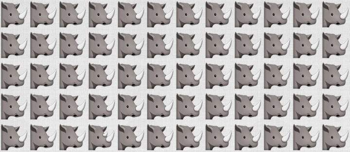 Trong 10 giây, đố bạn tìm ra con tê giác khác biệt - 1