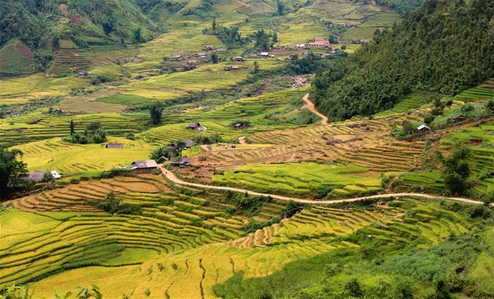 Chẳng cần đi xa, Việt Nam cũng có ngôi làng 'nhà nấm' đẹp như cổ tích - 9