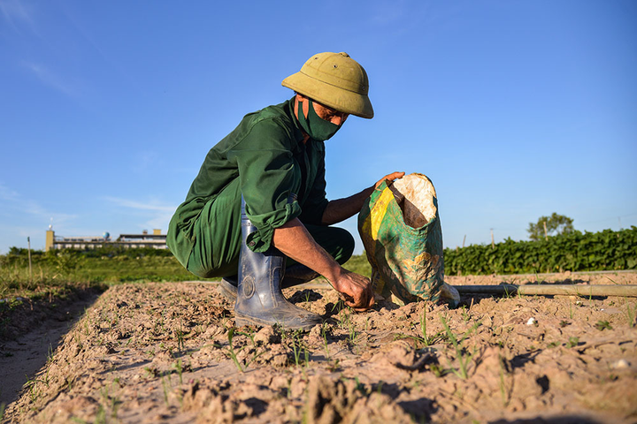 Bắc Bộ và Trung Bộ nắng nóng, áp thấp nhiệt đới nguy cơ mạnh lên thành bão - 1
