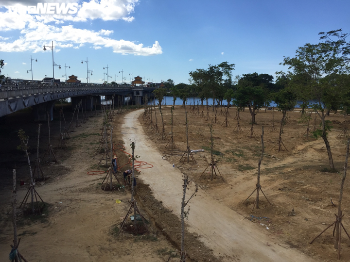 Cận cảnh cồn Dã Viên trên sông Hương sắp thành vườn Ngự uyển ở Huế - 3