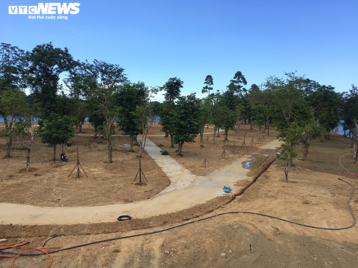 Cận cảnh cồn Dã Viên trên sông Hương sắp thành vườn Ngự uyển ở Huế - 7