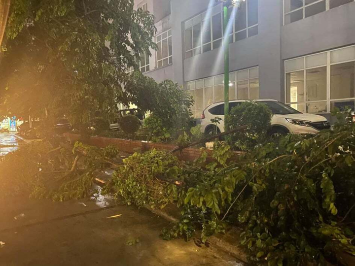 Đường Hà Nội ngập, cây đổ ngổn ngang sau cơn mưa lớn giữa đêm - 10