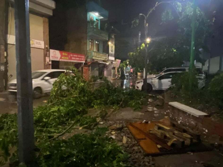 Đường Hà Nội ngập, cây đổ ngổn ngang sau cơn mưa lớn giữa đêm - 9