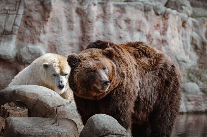 Chỉ vỏn vẹn 5 giây, bạn có chỉ ra được điểm vô lý ở những bức hình này? - 2