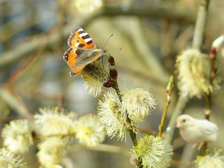 Chỉ vỏn vẹn 5 giây, bạn có chỉ ra được điểm vô lý ở những bức hình này? - 3