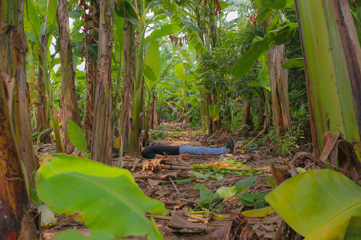 Trong cơn bão đại dịch, giới trẻ Việt nhìn lại ‘những gì giá trị’ - 3