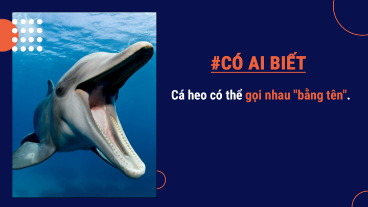 Có ai biết: Lười biếng có thể là do... di truyền - 5