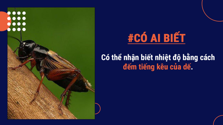 Có ai biết: Lười biếng có thể là do... di truyền - 4