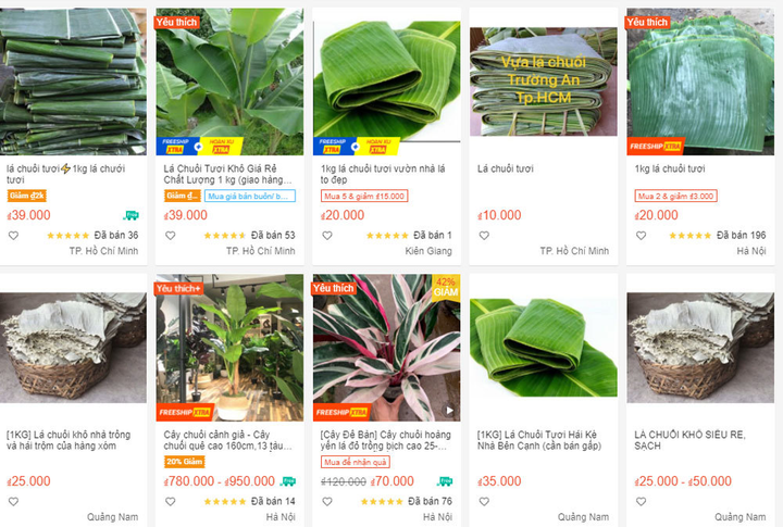 Những loại lá bình thường bỗng thành hàng hot trên trang thương mại điện tử - 2