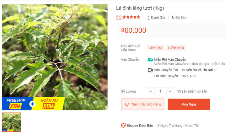 Những loại lá bình thường bỗng thành hàng hot trên trang thương mại điện tử - 6
