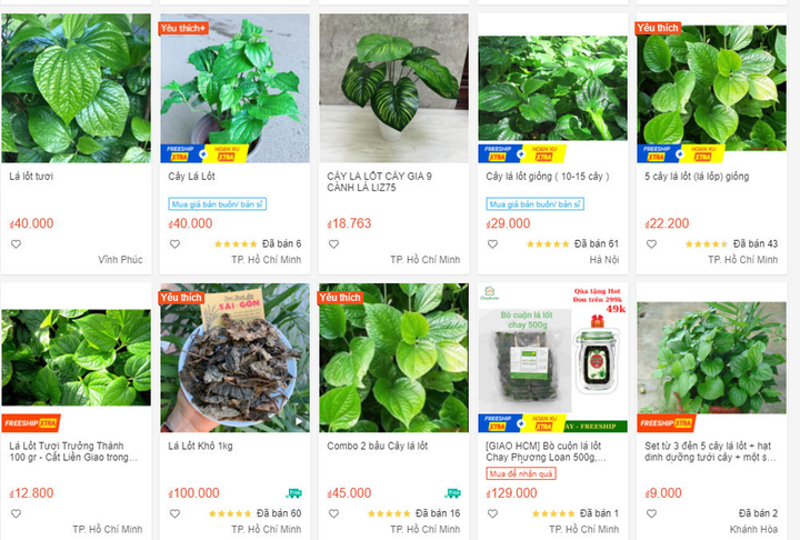 Những loại lá bình thường bỗng thành hàng hot trên trang thương mại điện tử - 8
