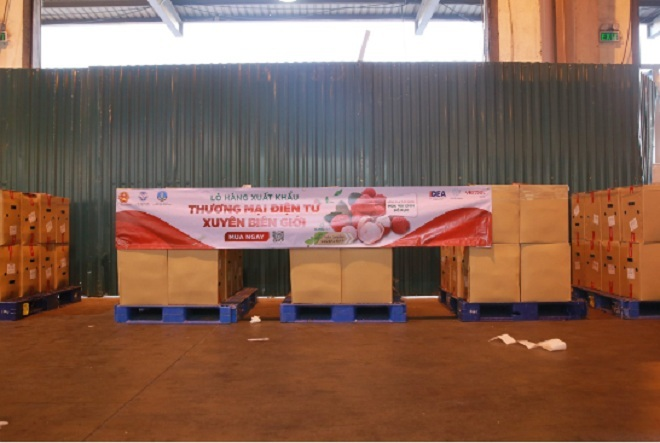 Lần đầu bán vải thiều Việt sang châu Âu qua sàn thương mại điện tử - 1