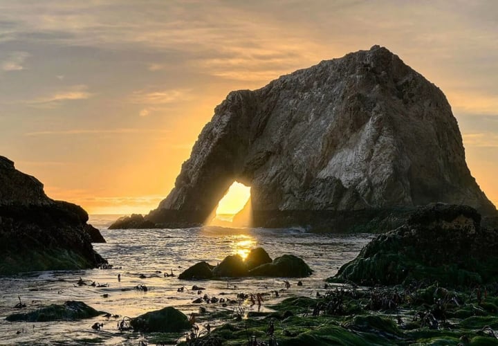 The rock looks like a giant elephant floating in the middle of the sea - Mother Nature's masterpiece - 9