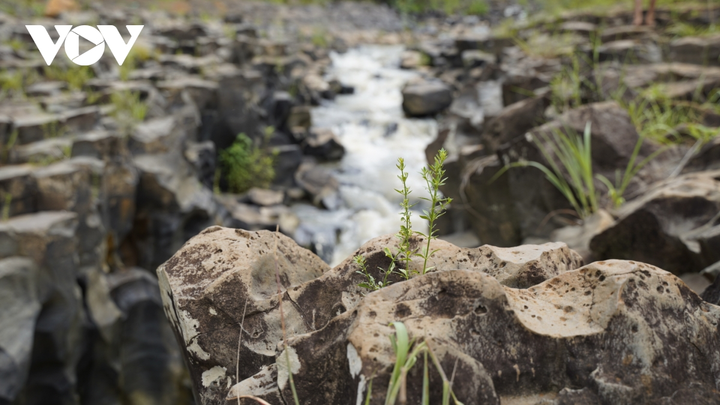 Lặng người ngắm vẻ đẹp hoang sơ của suối đá núi lửa ở Gia Lai - 7
