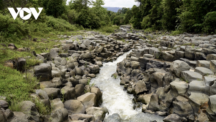 Lặng người ngắm vẻ đẹp hoang sơ của suối đá núi lửa ở Gia Lai - 11