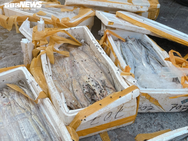 Tiểu thương bật khóc vì đặc sản rớt giá, làm thức ăn chăn nuôi - 2