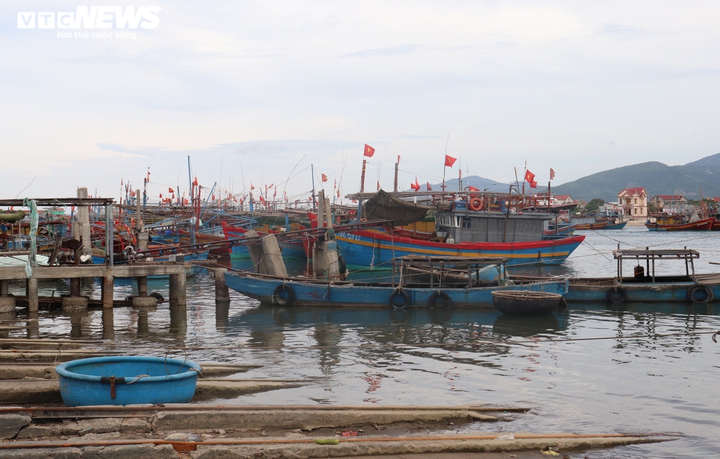 Tiểu thương bật khóc vì đặc sản rớt giá, làm thức ăn chăn nuôi - 3