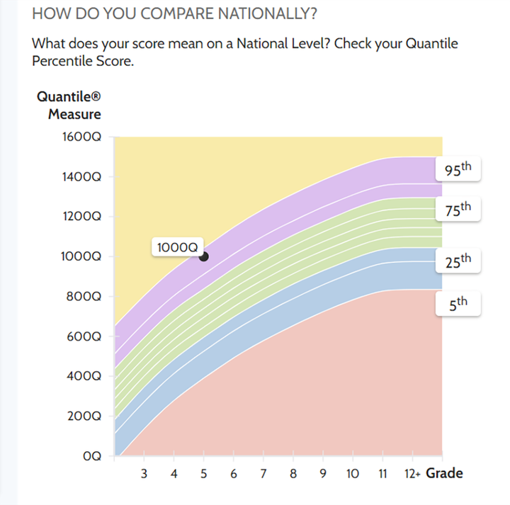 Lần đầu tiên học sinh Việt có thể kiểm tra chuẩn hoá theo năng lực Mỹ - 2