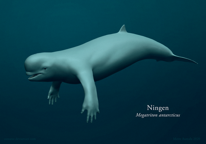 Quái vật biển khổng lồ hình người ở Nam cực: Bí ẩn đến nay vẫn chưa có lời giải - 5