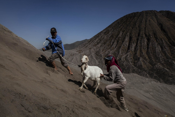 Người Indonesia ném gia súc, lễ vật xuống miệng núi lửa để hiến tế - 1