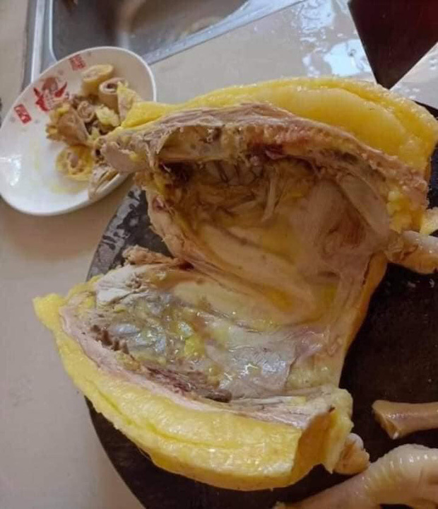 Gà luộc ‘siêu nhiễm mỡ’ khiến hội nghiện đồ béo nhìn cũng phát hoảng - 2