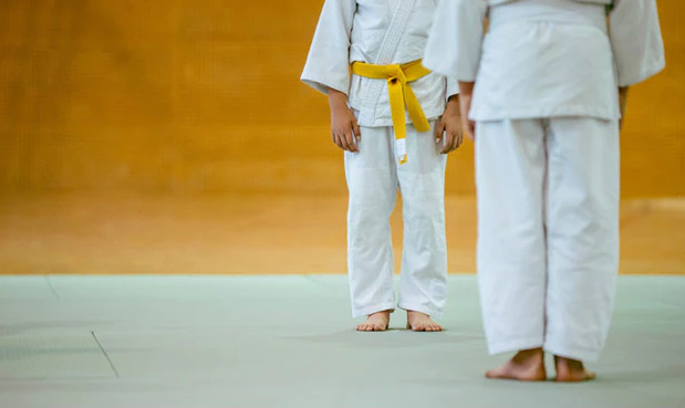 Cậu bé 7 tuổi qua đời vì bị huấn luyện viên lớp judo quăng quật 27 lần - 1