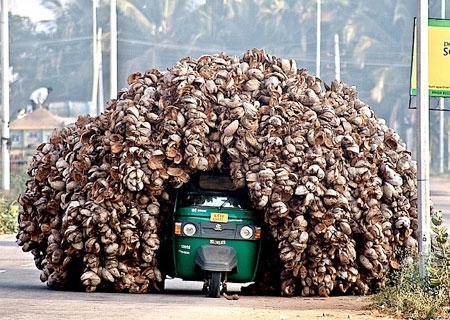 Bái phục muôn kiểu chở hàng thượng thừa như diễn xiếc của hội shipper - 2