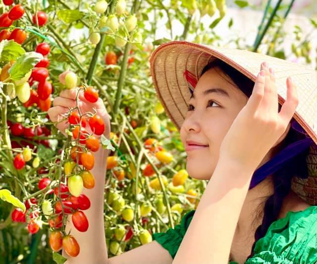 Chỉ chụp ảnh trên sân thượng, con gái Quyền Linh vẫn khiến nhiều người xuýt xoa - 8