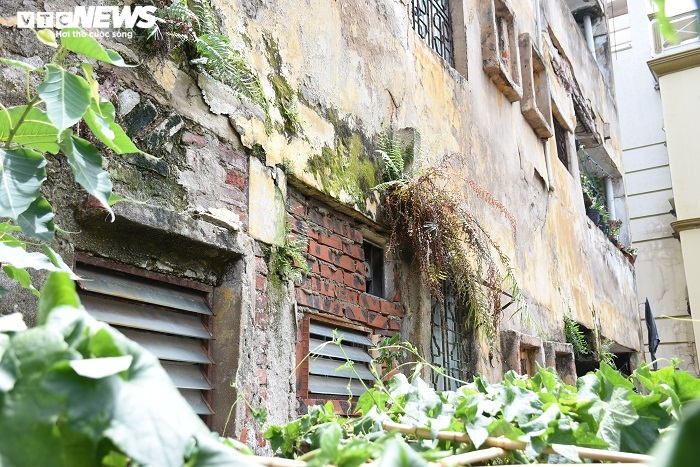 Hải Phòng: Chung cư hơn 40 năm xuống cấp, người dân vào nhà vệ sinh phải đội nón - 5