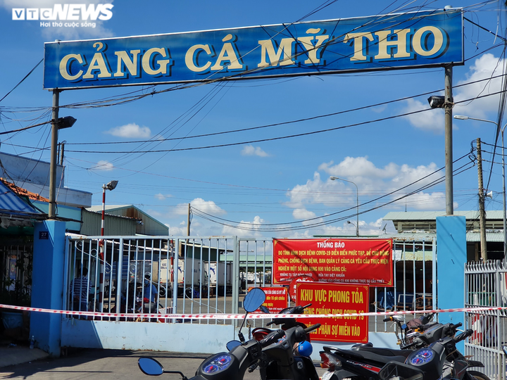 Nhiều ca nghi mắc COVID-19 ở Cảng cá Mỹ Tho, test nhanh 400 người - 2