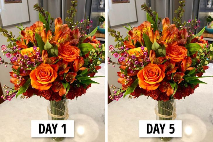 Cách dùng bã cà phê đuổi côn trùng, khử mùi hôi trong nhà - 2