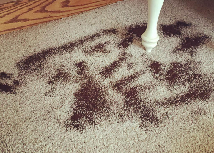 Cách dùng bã cà phê đuổi côn trùng, khử mùi hôi trong nhà - 4