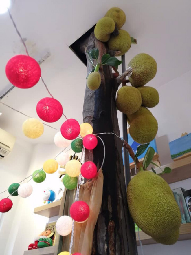 Khóc ròng với những quả mít 'ngang ngược' như trêu tức người trồng - 4