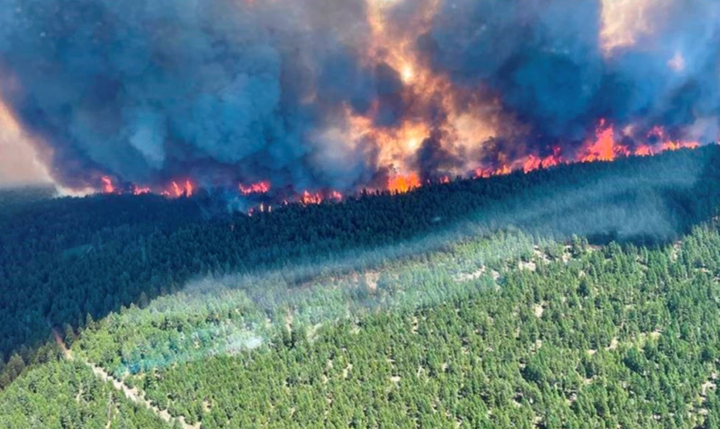 176 đám cháy rừng bùng phát dữ dội ở bờ Tây Canada - 2
