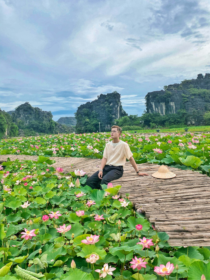 Say đắm trước cảnh thần tiên ở đầm sen dưới chân Hang Múa mùa nở rộ - 8